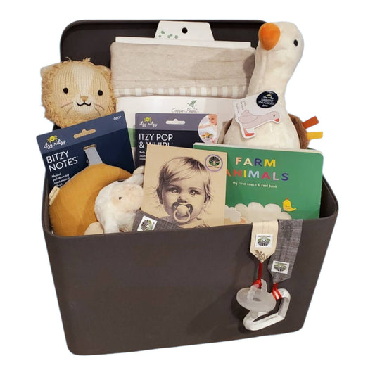 The Little Luminary Gift Box